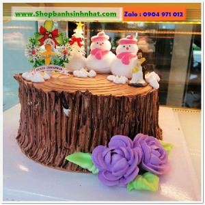 Bánh Kem Tặng Ngày Giáng Sinh - BR23